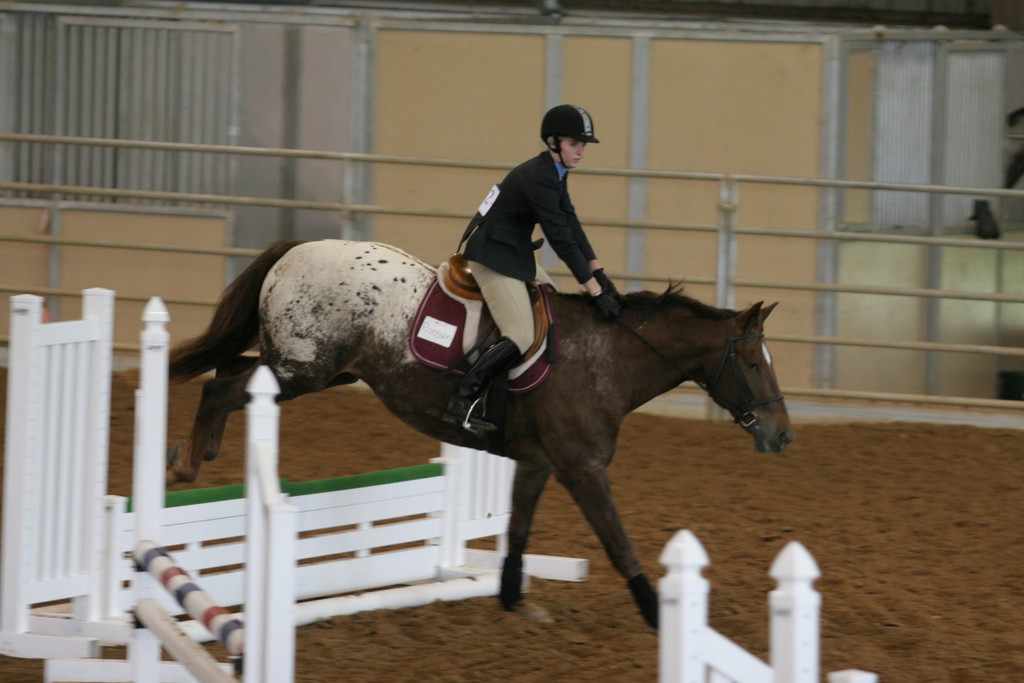 alex/ttu_tamu_show/img_0122.jpg