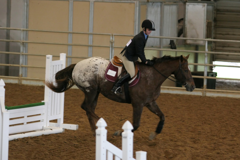 alex/ttu_tamu_show/img_0123.jpg