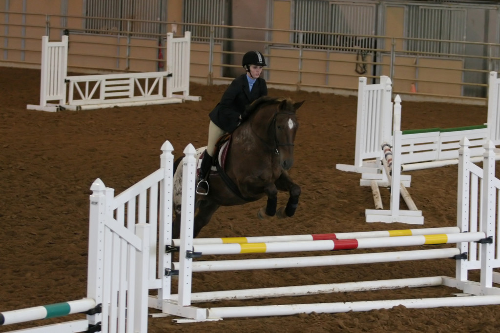 alex/ttu_tamu_show/img_0124.jpg