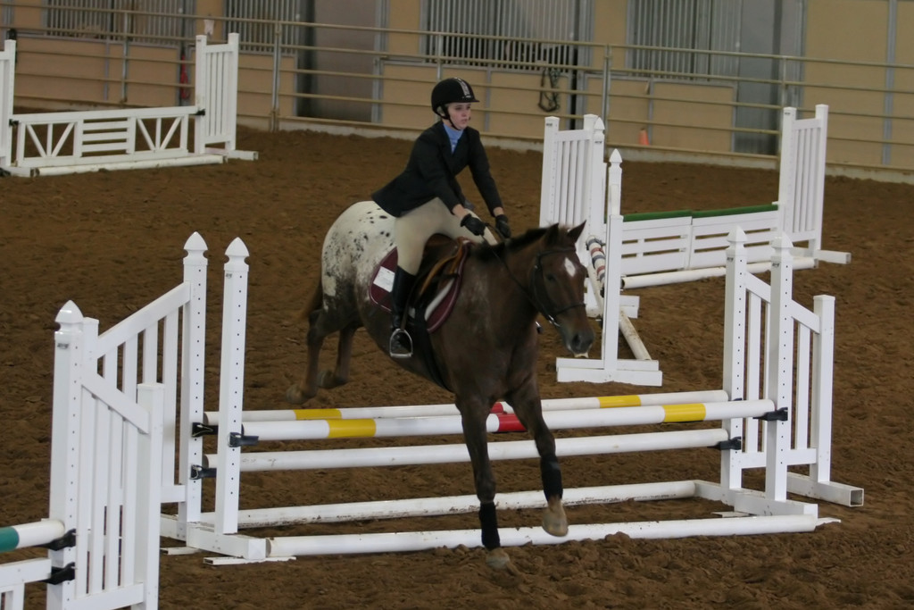 alex/ttu_tamu_show/img_0125.jpg