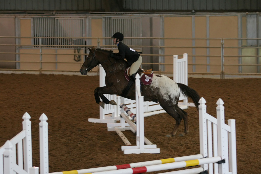 alex/ttu_tamu_show/img_0127.jpg