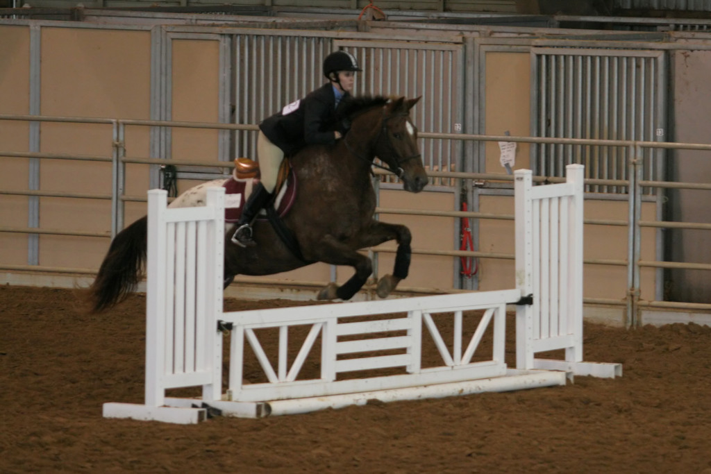 alex/ttu_tamu_show/img_0130.jpg
