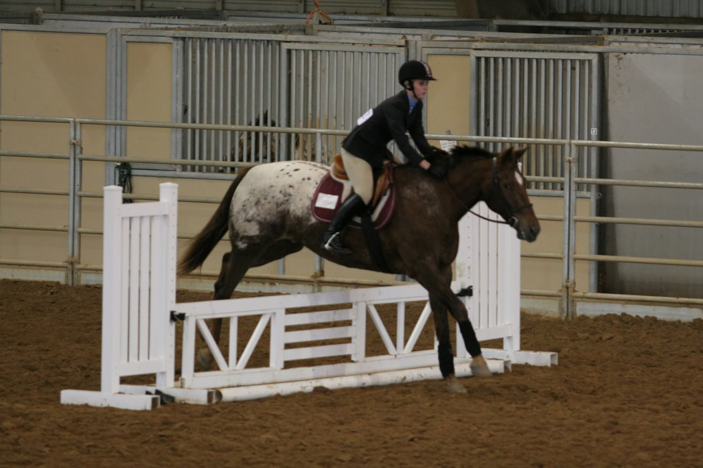 alex/ttu_tamu_show/img_0131.jpg