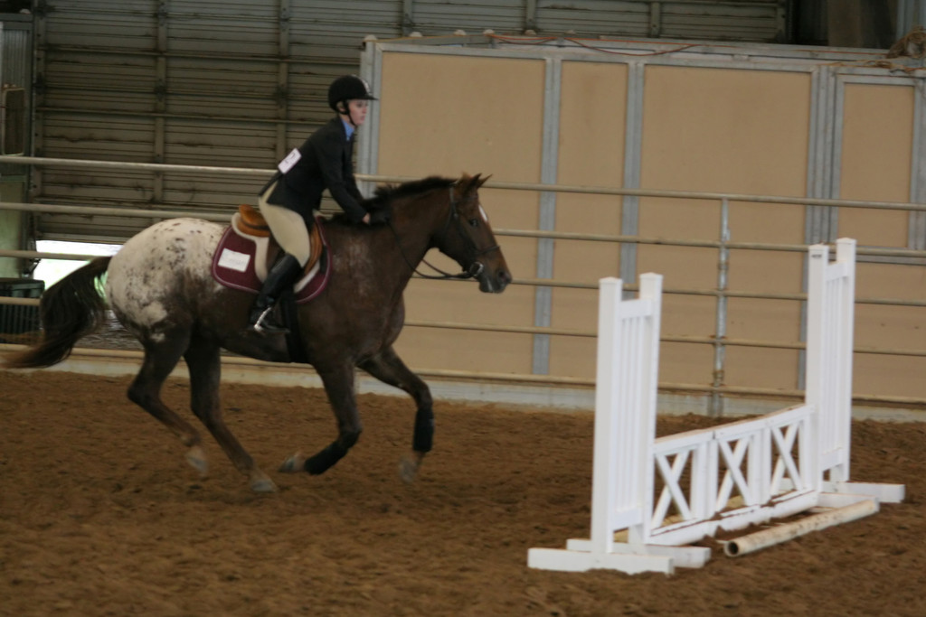 alex/ttu_tamu_show/img_0132.jpg