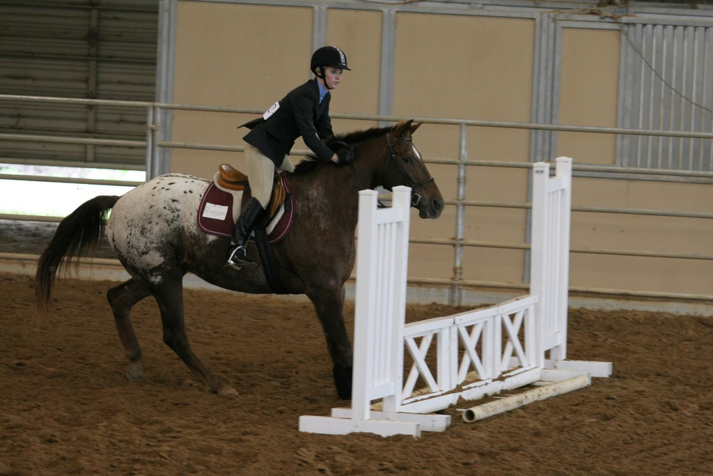 alex/ttu_tamu_show/img_0133.jpg