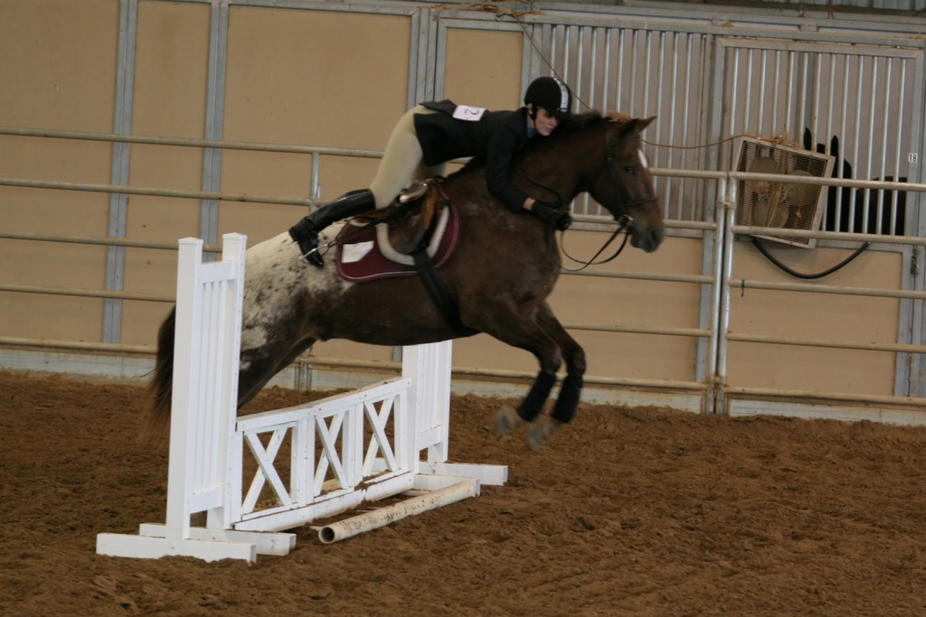 alex/ttu_tamu_show/img_0135.jpg