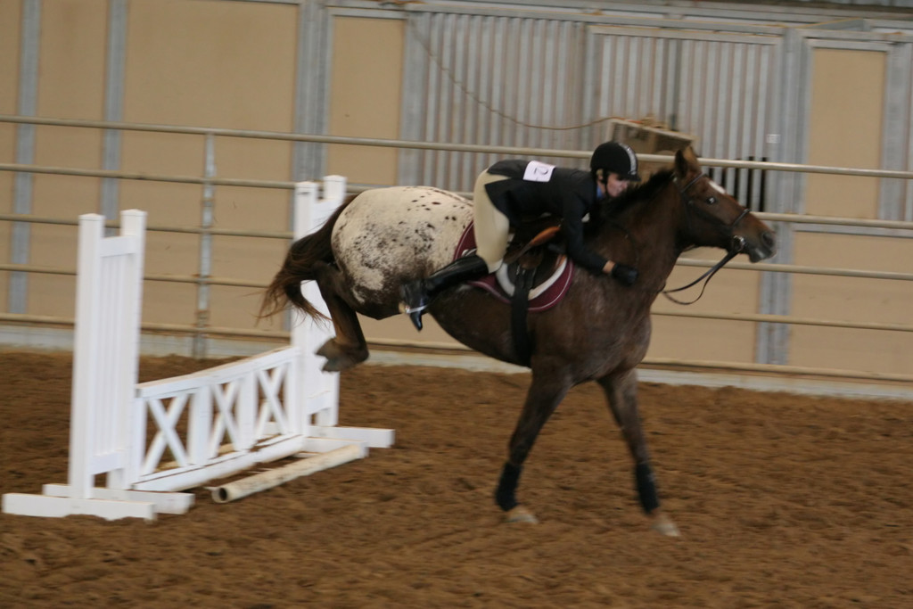 alex/ttu_tamu_show/img_0136.jpg