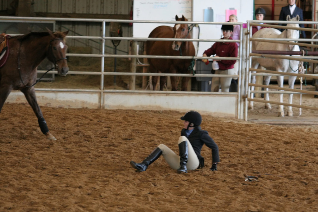 alex/ttu_tamu_show/img_0137.jpg