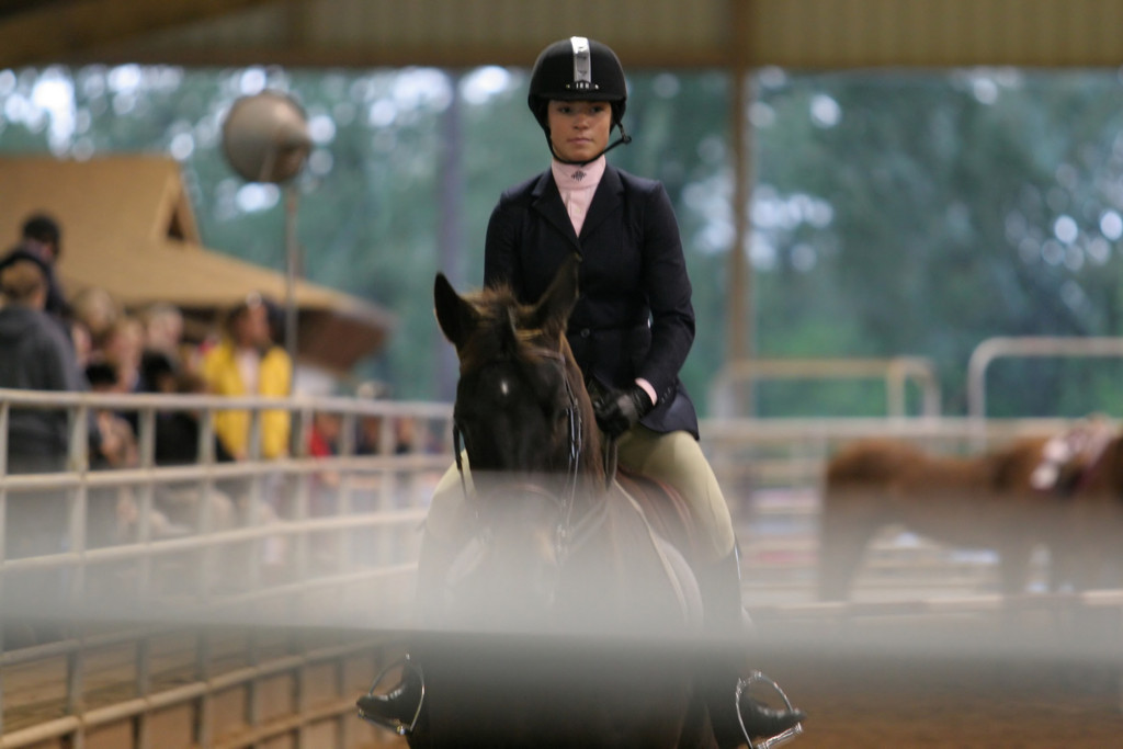 alex/ttu_tamu_show/img_0138.jpg