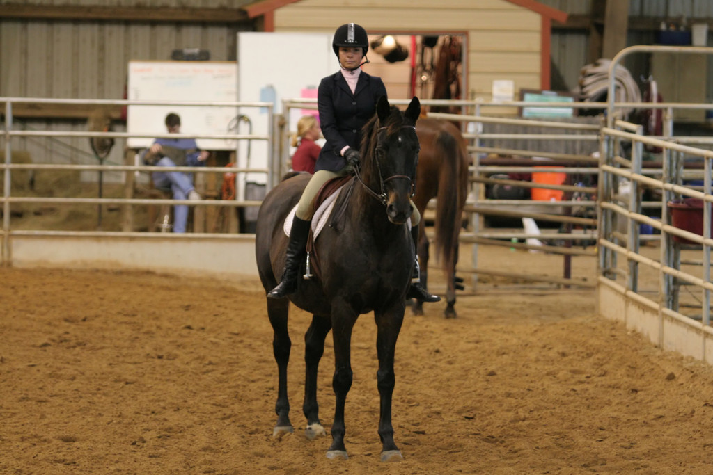 alex/ttu_tamu_show/img_0146.jpg