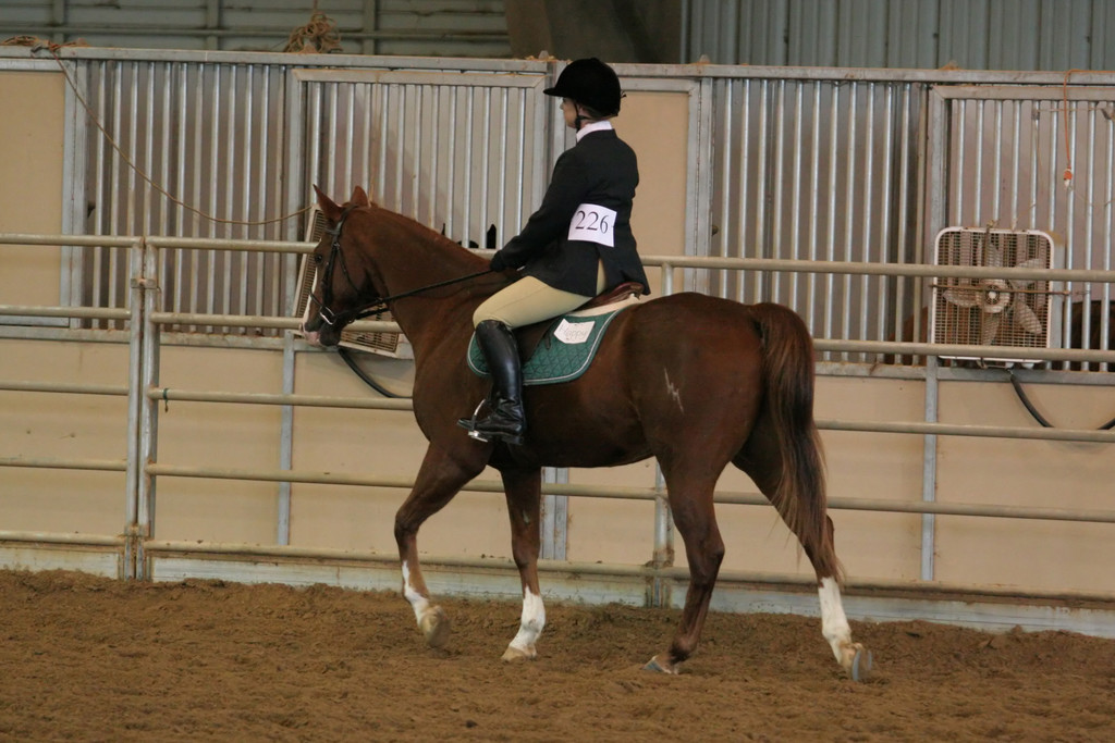 alex/ttu_tamu_show/img_0151.jpg