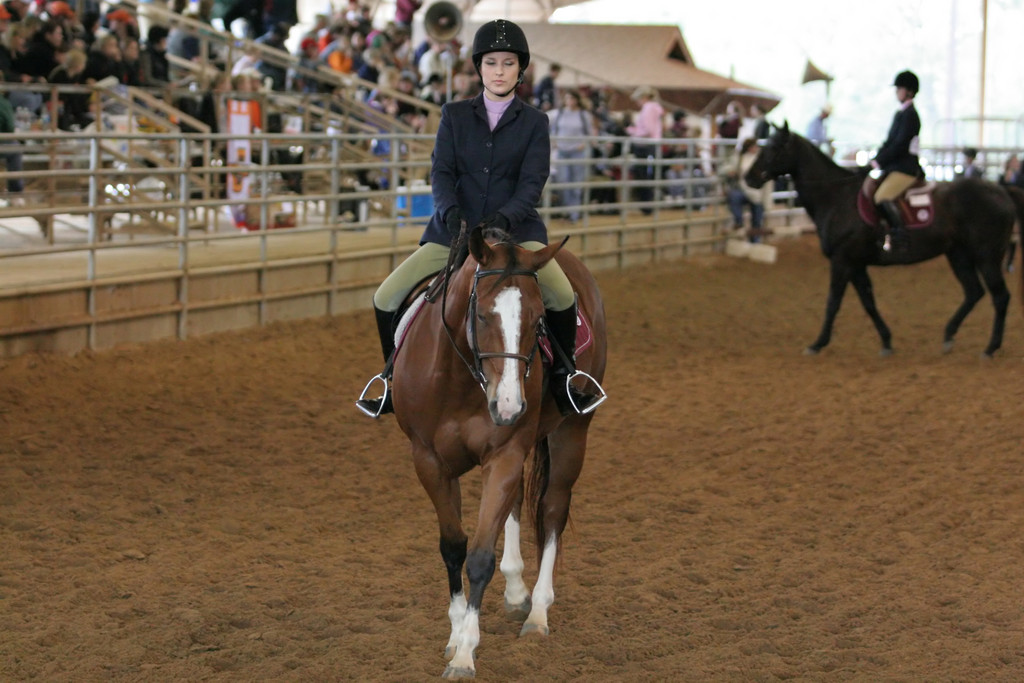 alex/ttu_tamu_show/img_0153.jpg