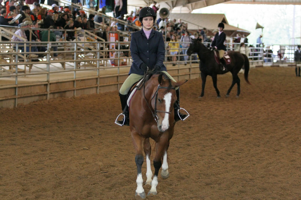 alex/ttu_tamu_show/img_0154.jpg
