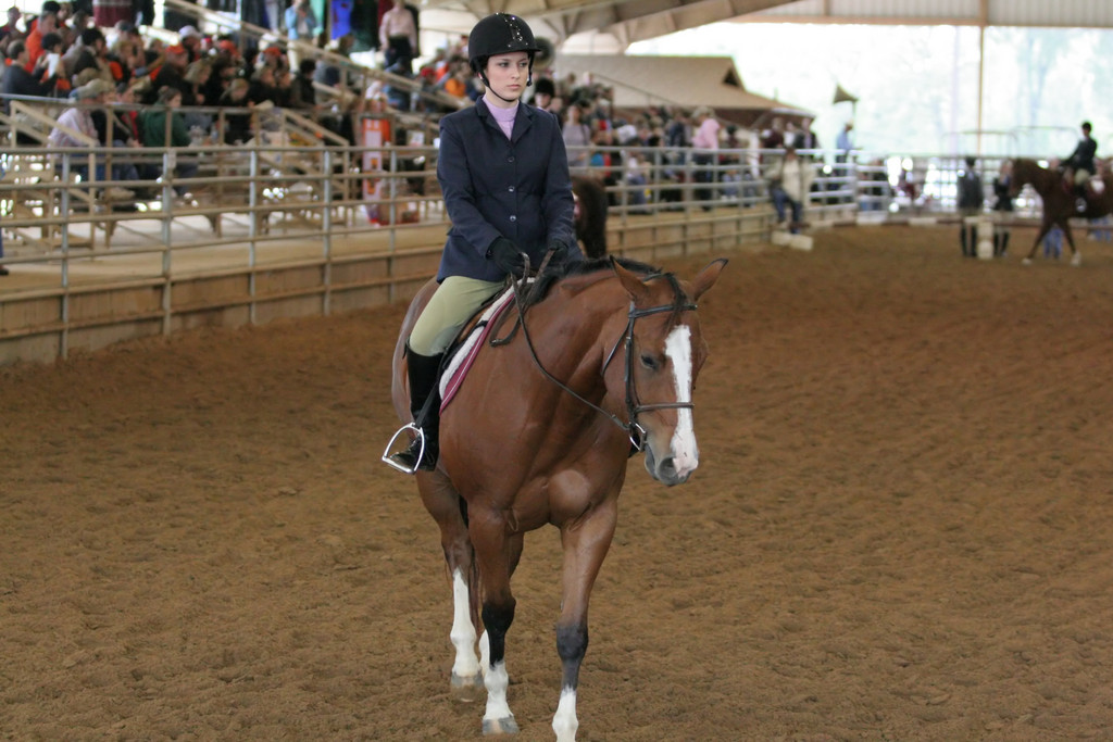 alex/ttu_tamu_show/img_0155.jpg