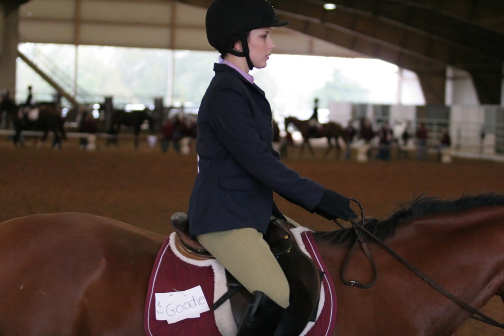 alex/ttu_tamu_show/img_0156.jpg