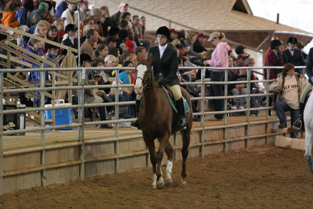 alex/ttu_tamu_show/img_0157.jpg