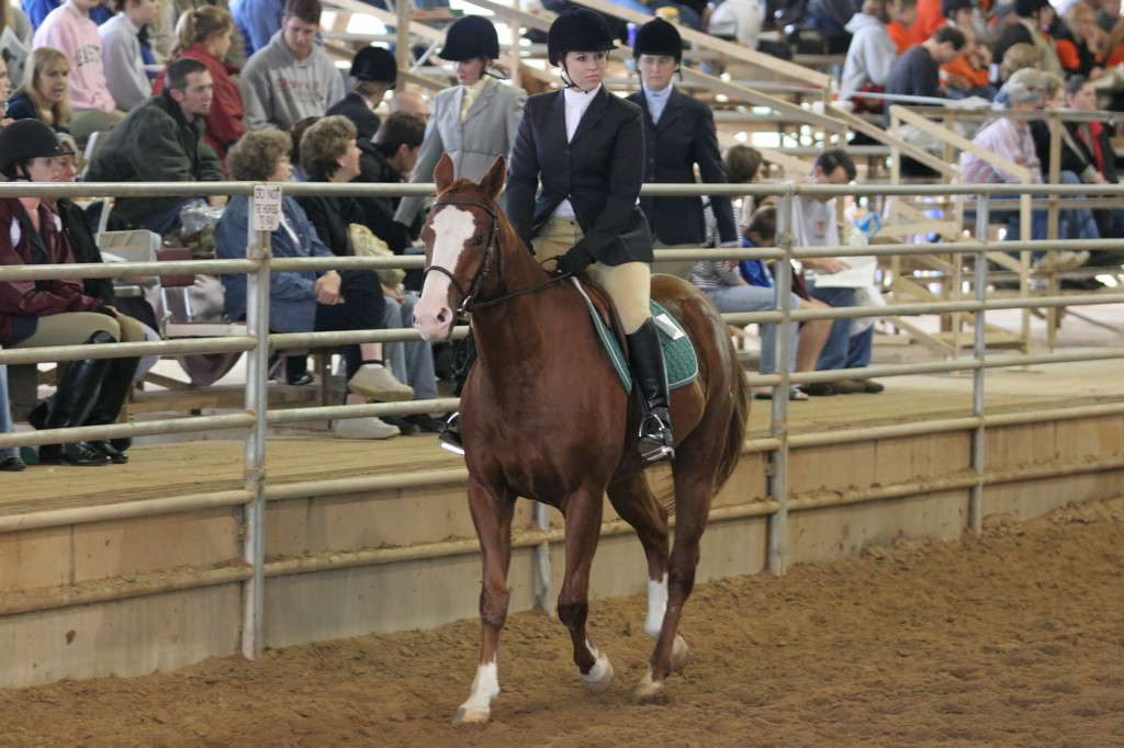 alex/ttu_tamu_show/img_0158.jpg