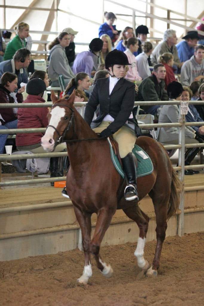 alex/ttu_tamu_show/img_0160.jpg