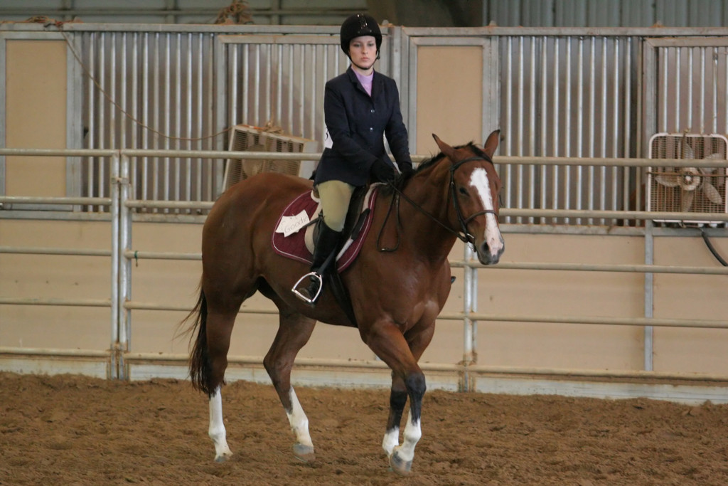 alex/ttu_tamu_show/img_0167.jpg