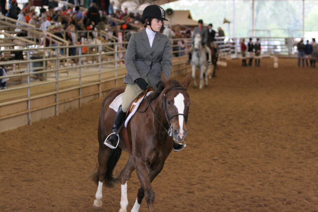 alex/ttu_tamu_show/img_0170.jpg