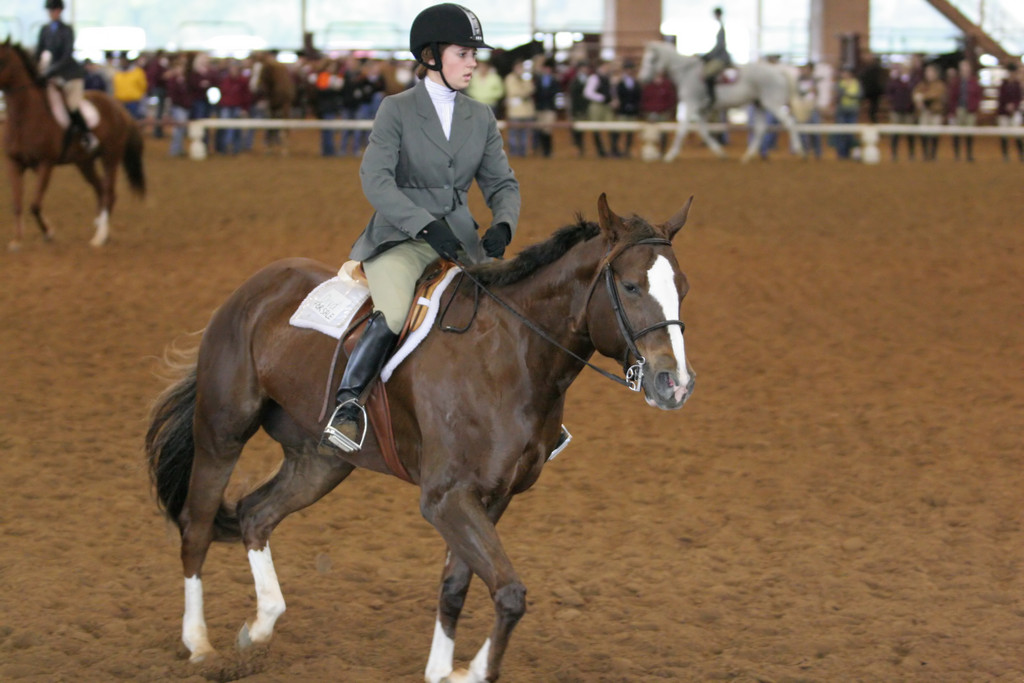 alex/ttu_tamu_show/img_0173.jpg