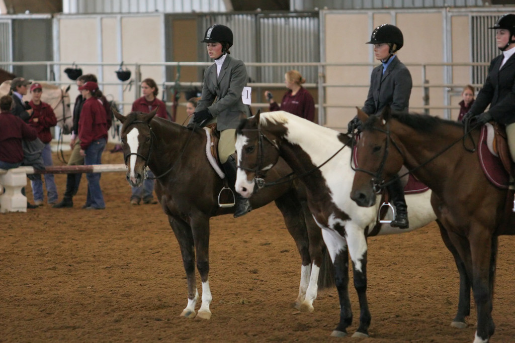 alex/ttu_tamu_show/img_0182.jpg