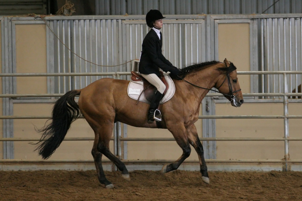 alex/ttu_tamu_show/img_0192.jpg