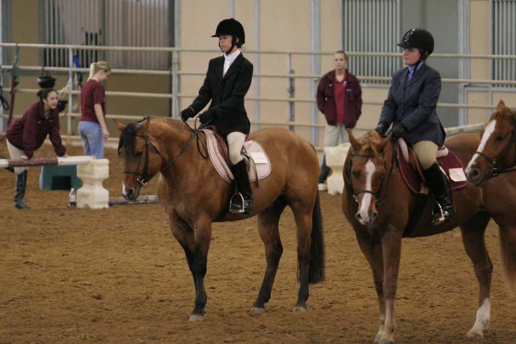 alex/ttu_tamu_show/img_0193.jpg