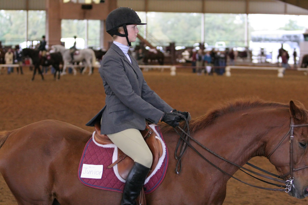 alex/ttu_tamu_show//img_0195.jpg