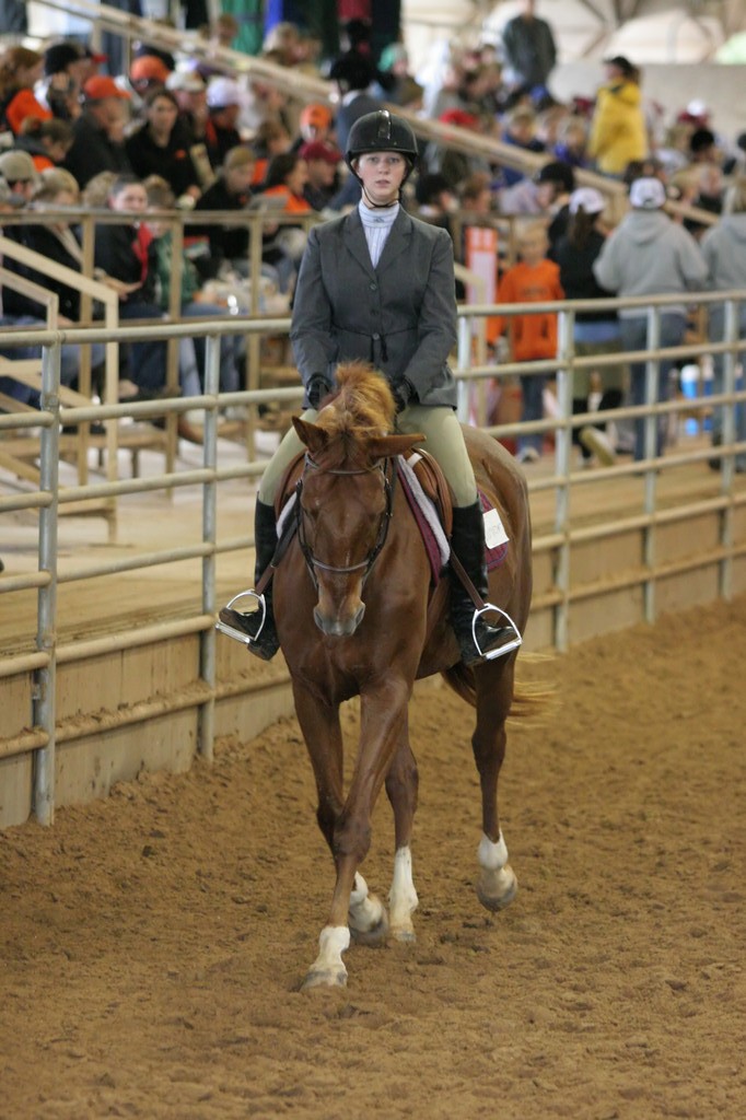 alex/ttu_tamu_show/img_0199.jpg
