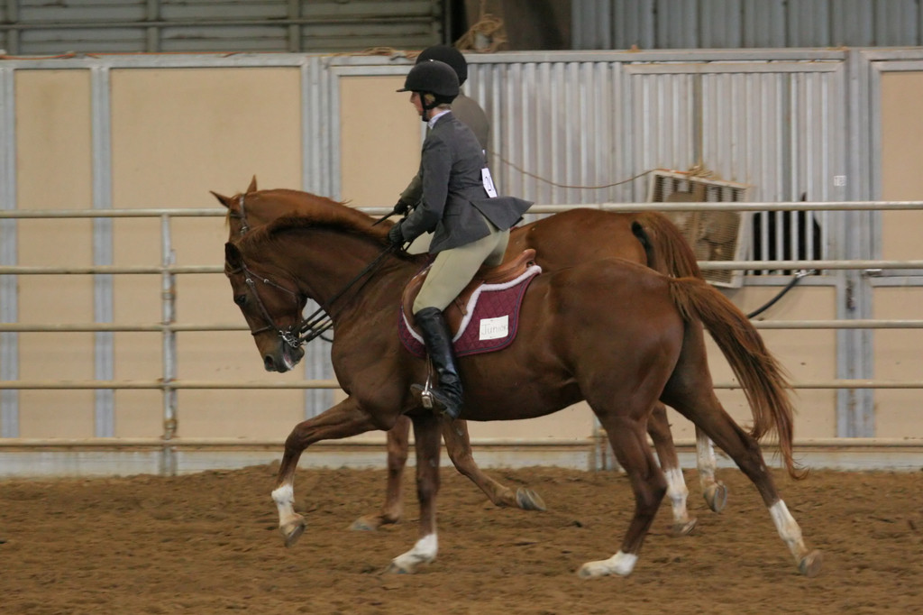 alex/ttu_tamu_show/img_0203.jpg
