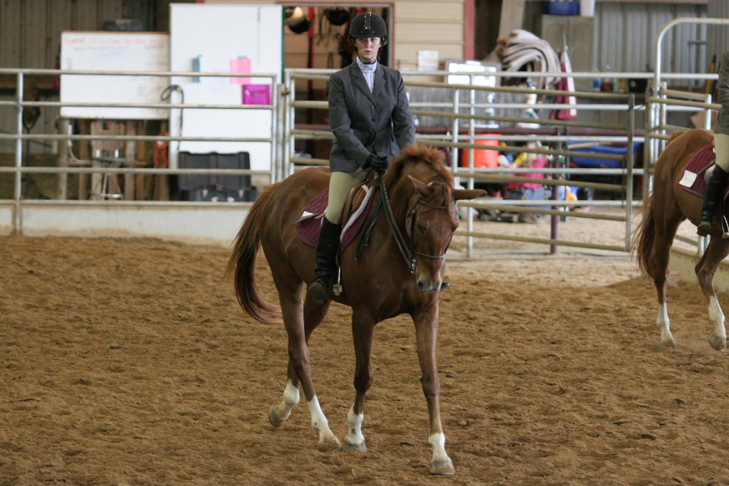 alex/ttu_tamu_show/img_0205.jpg