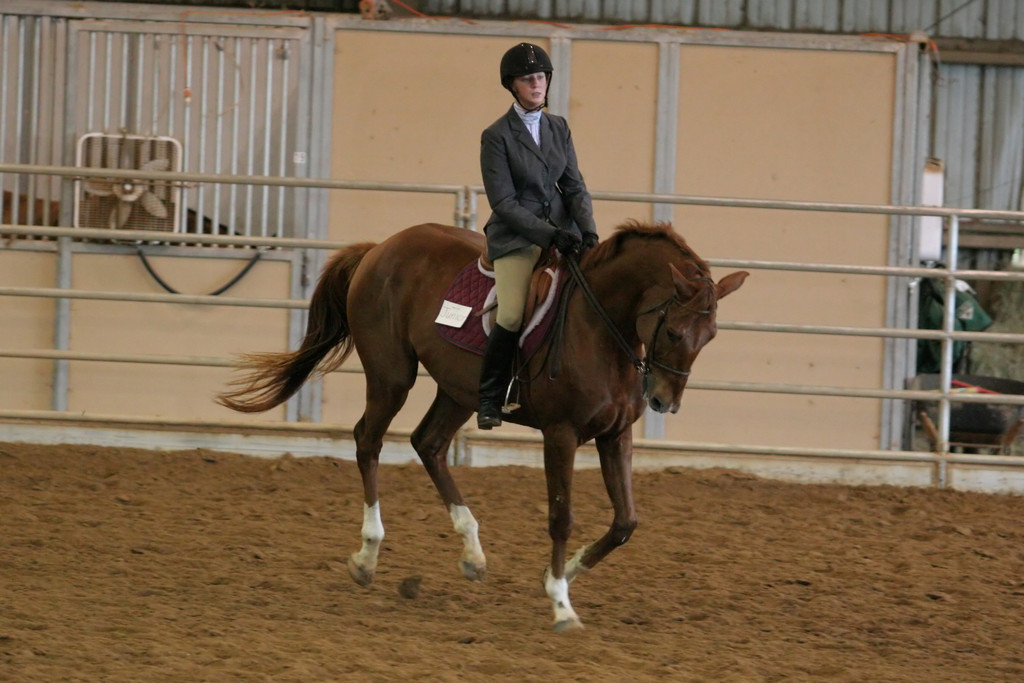 alex/ttu_tamu_show//img_0206.jpg