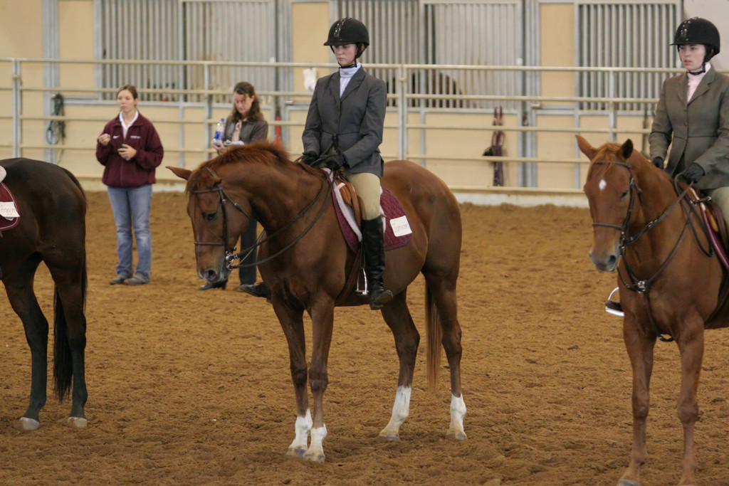 alex/ttu_tamu_show/img_0208.jpg