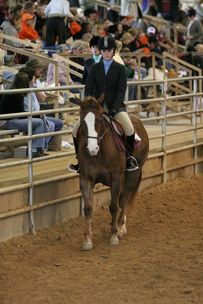 alex/ttu_tamu_show/img_0218.jpg