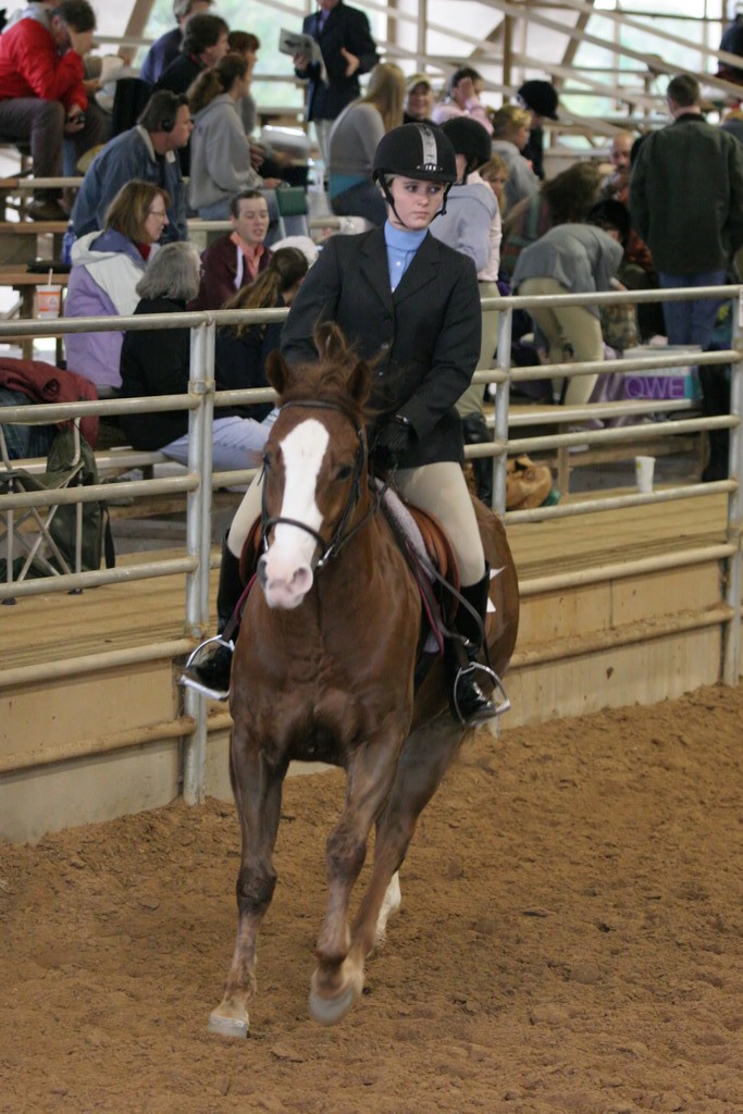 alex/ttu_tamu_show/img_0223.jpg