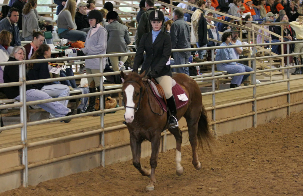 alex/ttu_tamu_show/img_0224.jpg