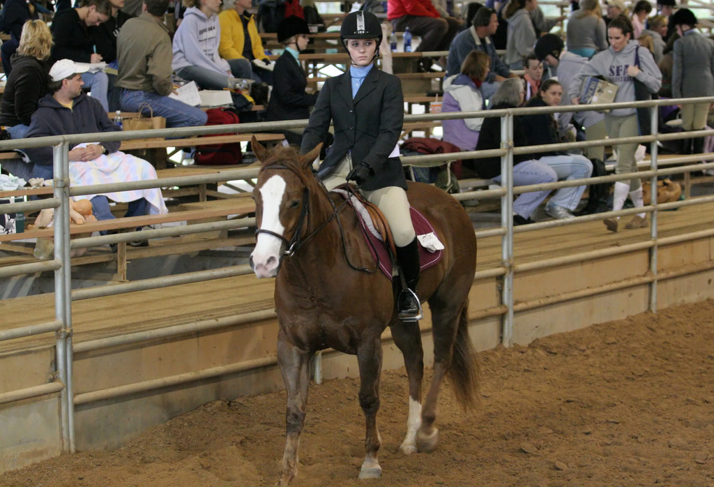alex/ttu_tamu_show/img_0226.jpg