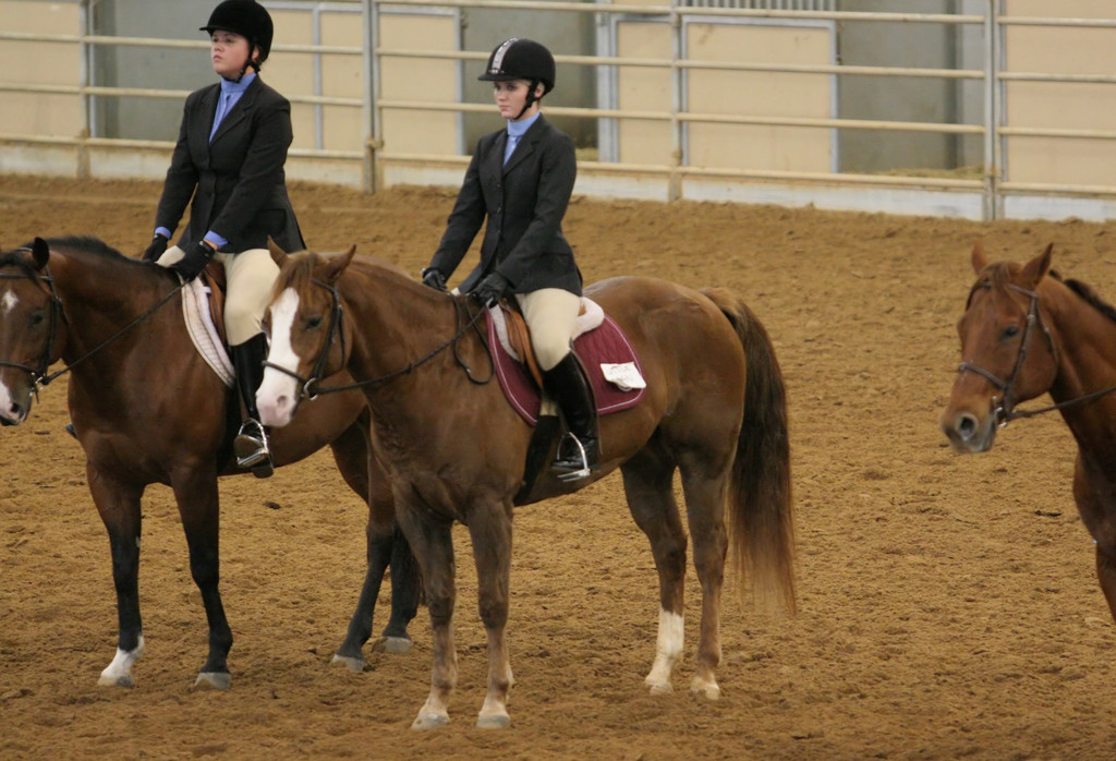 alex/ttu_tamu_show/img_0235.jpg