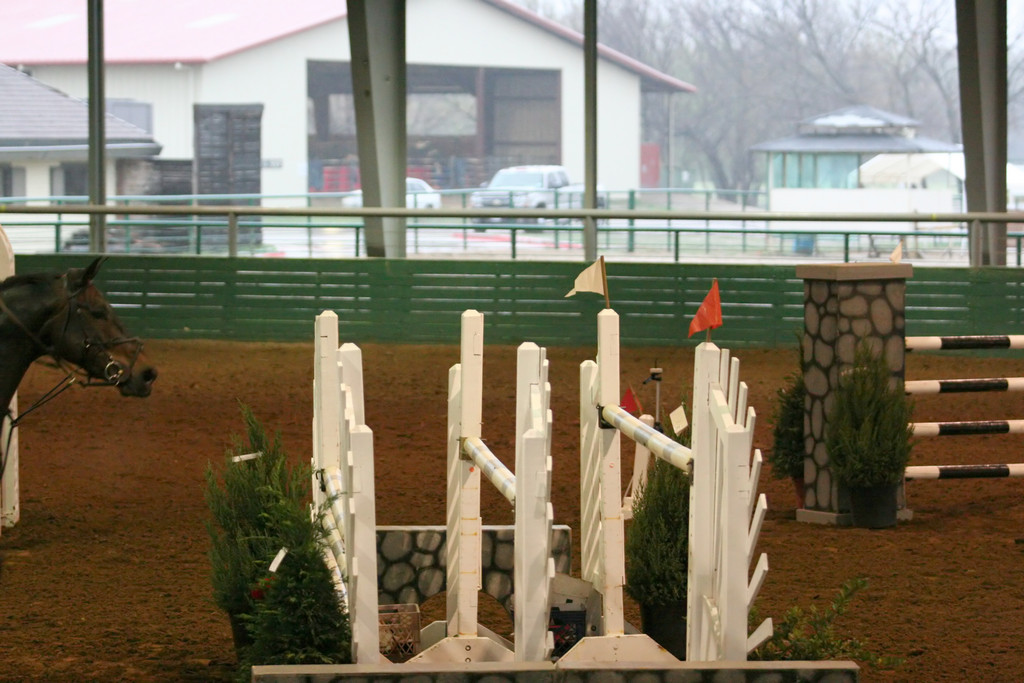 alex/tumbleweed/tumbleweed_0155.jpg