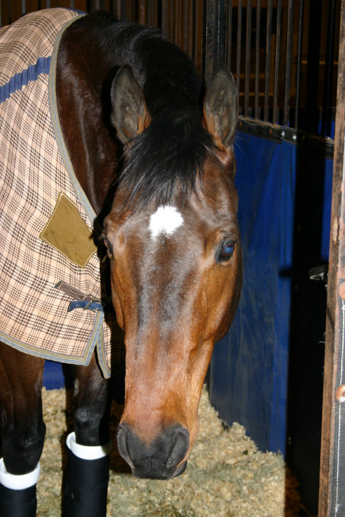 alex/tumbleweed/tumbleweed_0185.jpg
