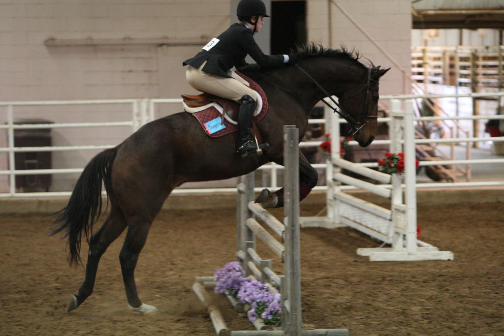 alex/wtamu_111707/JAM_7392.jpg