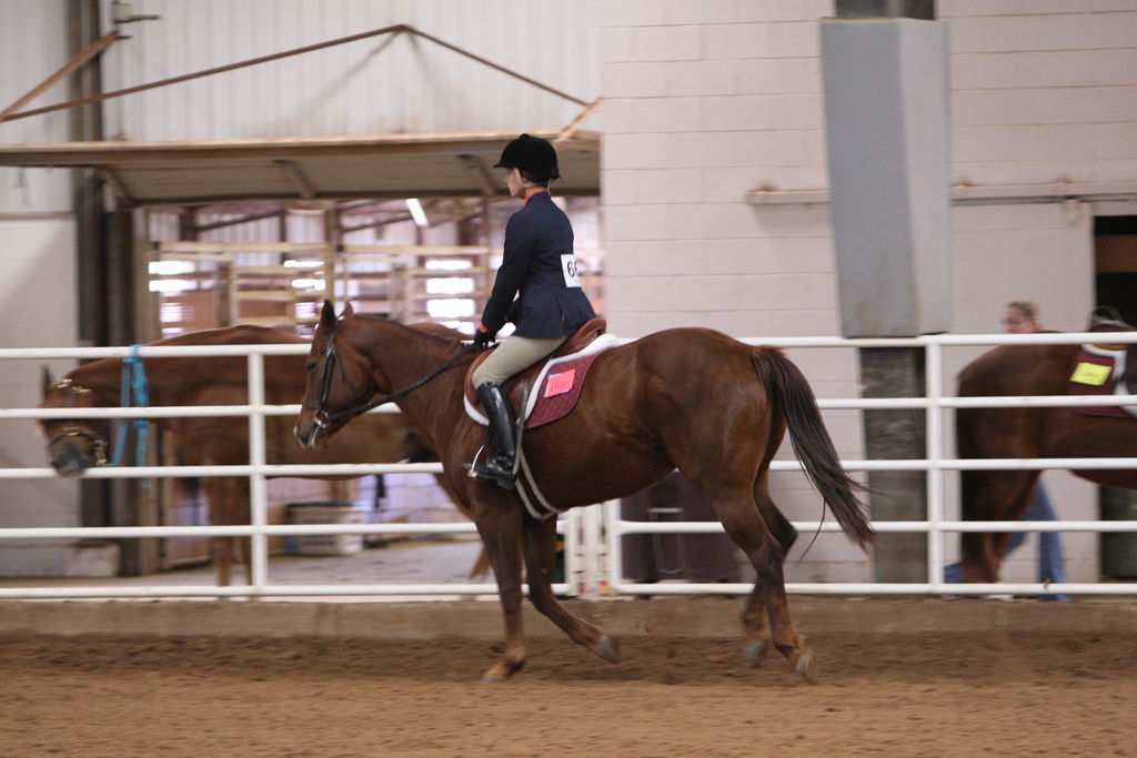 alex/wtamu_111707/JAM_7525.jpg