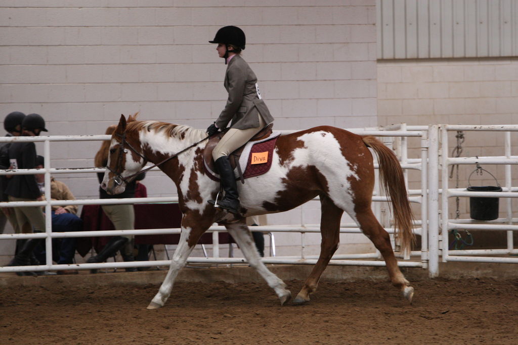 alex/wtamu_111707/JAM_7595.jpg