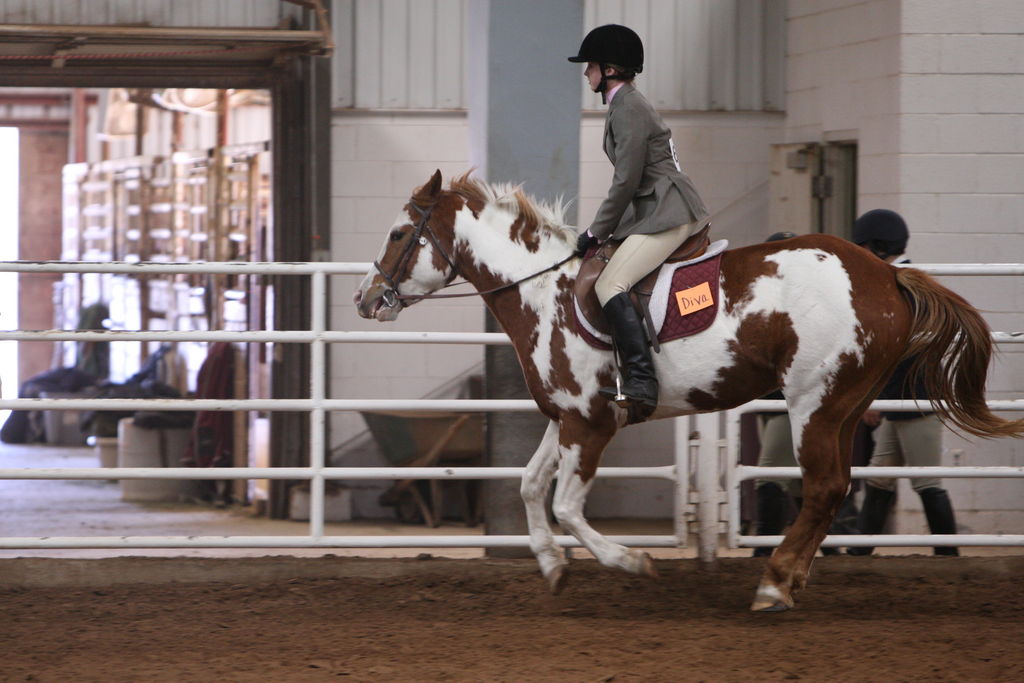 alex/wtamu_111707/JAM_7601.jpg