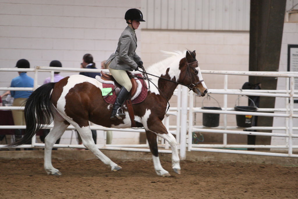 alex/wtamu_111707/JAM_7641.jpg