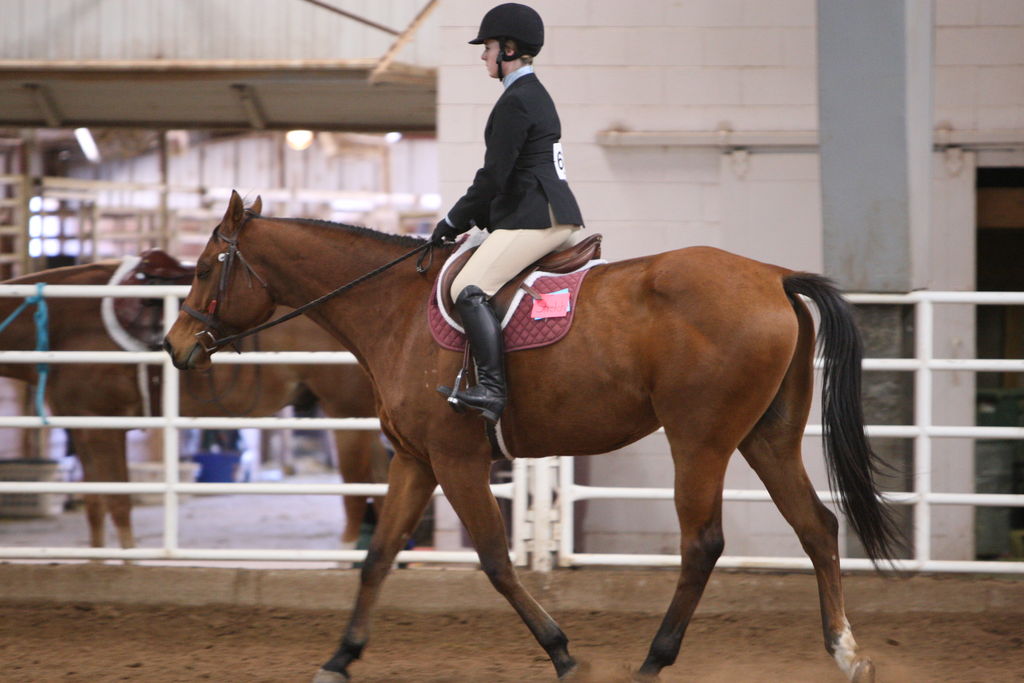 alex/wtamu_111707/JAM_7645.jpg