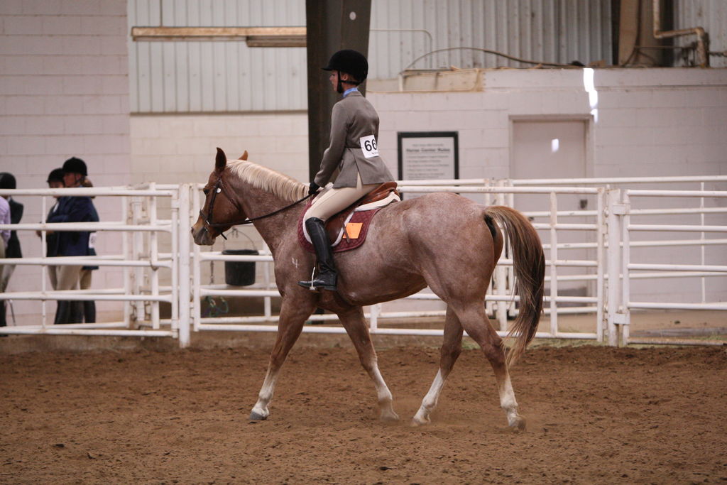 alex/wtamu_111707/JAM_7659.jpg