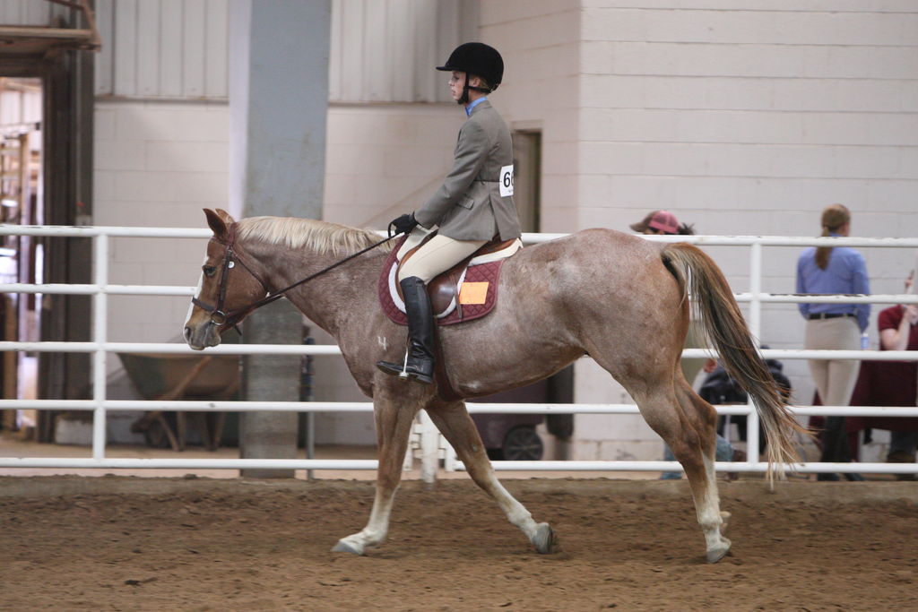 alex/wtamu_111707/JAM_7666.jpg