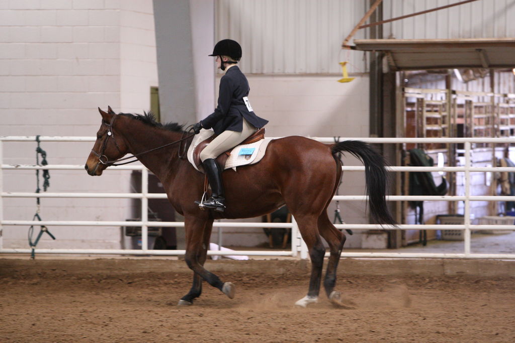 alex/wtamu_111707/JAM_7696.jpg